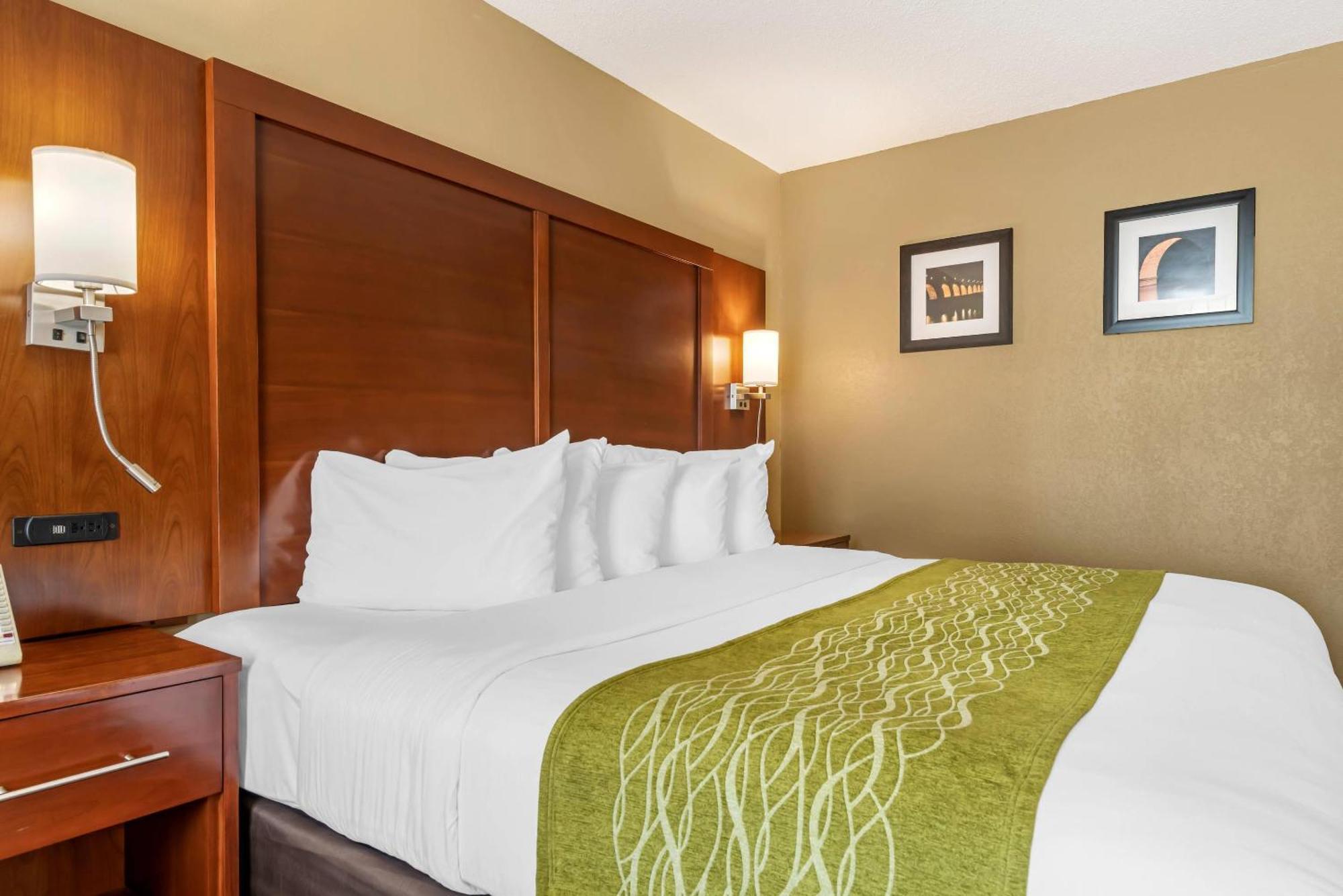 Comfort Inn Msp Airport - Mall Of America Блумінгтон Екстер'єр фото