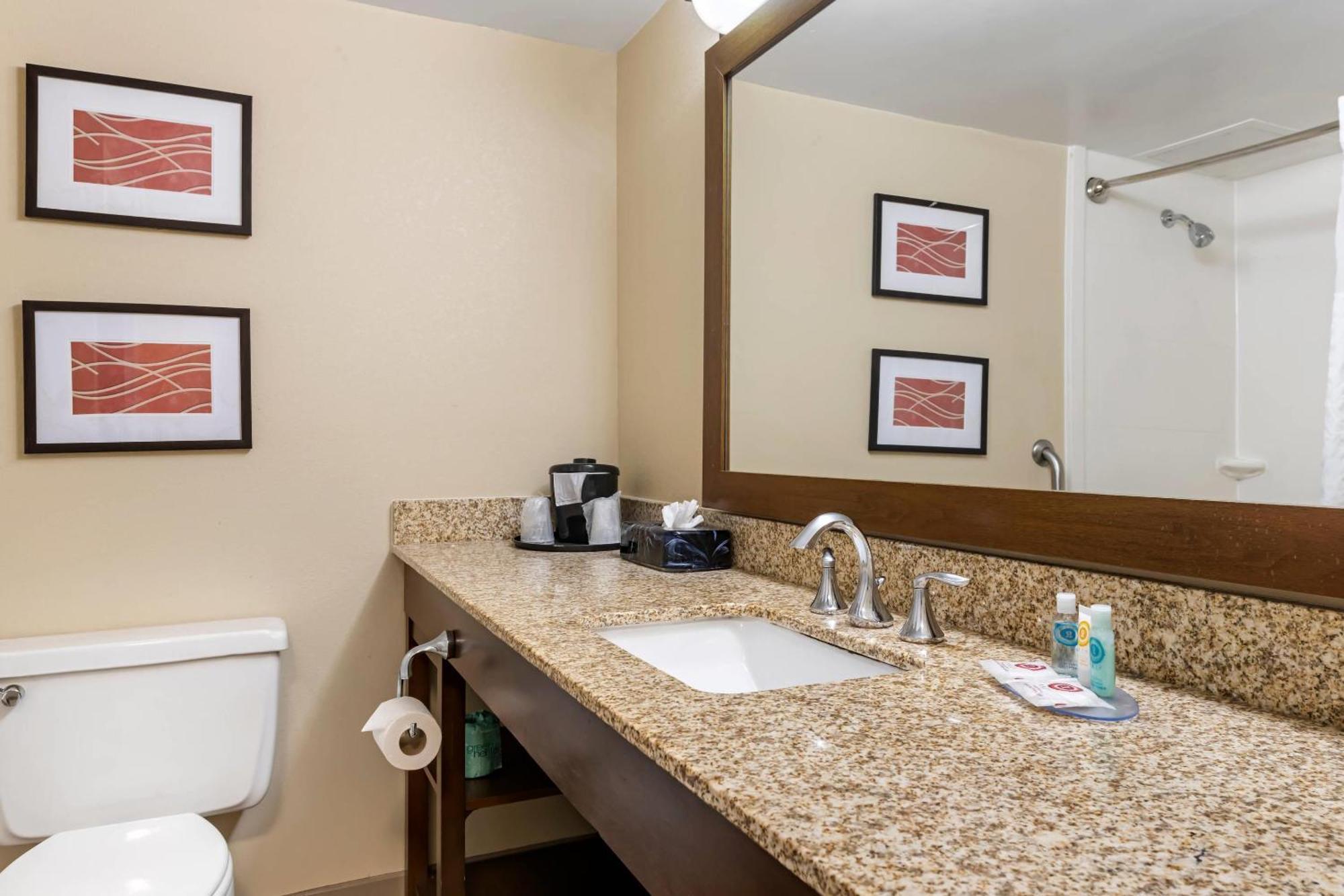 Comfort Inn Msp Airport - Mall Of America Блумінгтон Екстер'єр фото