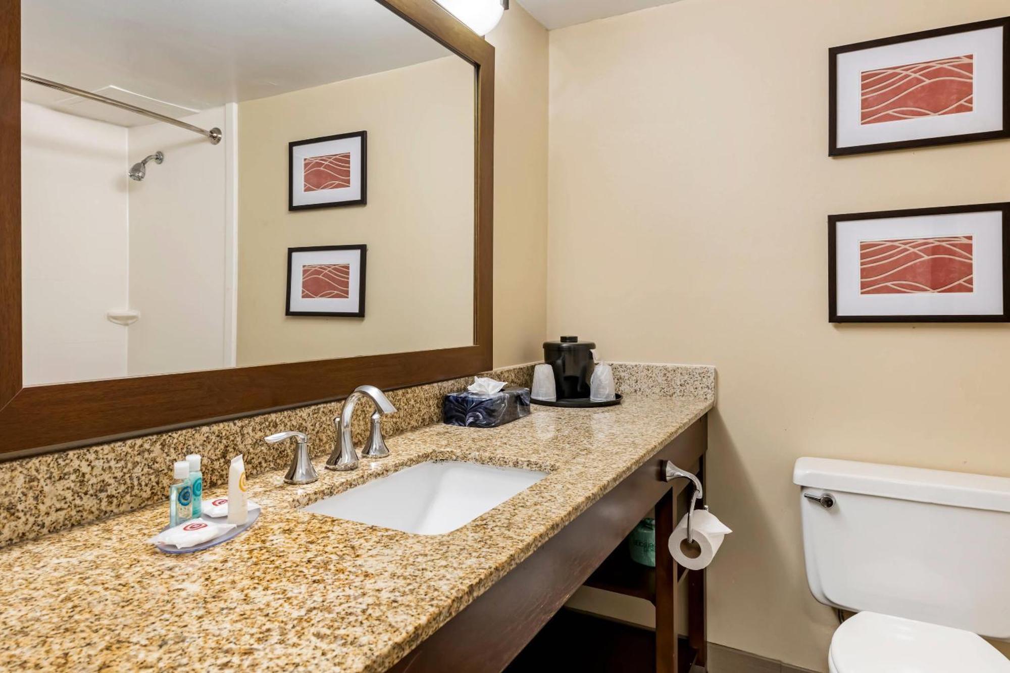 Comfort Inn Msp Airport - Mall Of America Блумінгтон Екстер'єр фото