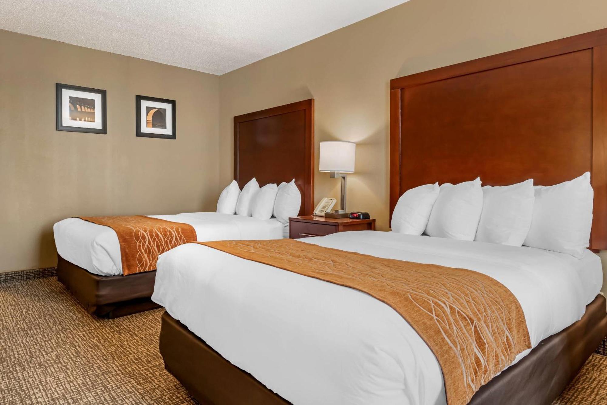 Comfort Inn Msp Airport - Mall Of America Блумінгтон Екстер'єр фото