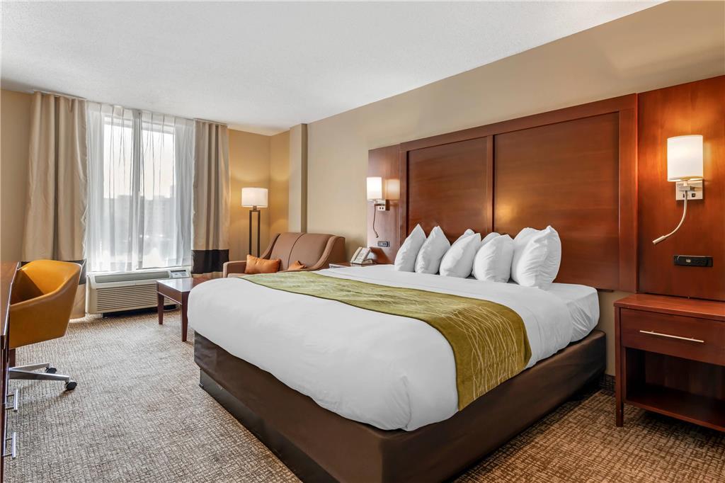 Comfort Inn Msp Airport - Mall Of America Блумінгтон Номер фото