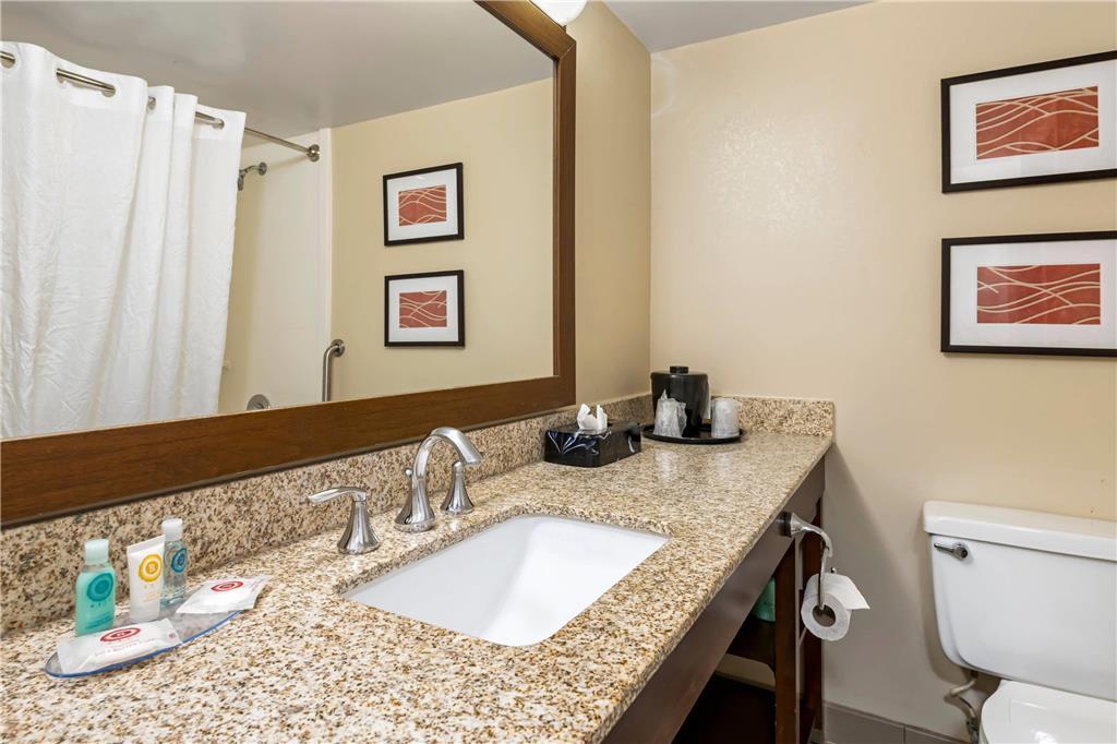 Comfort Inn Msp Airport - Mall Of America Блумінгтон Номер фото